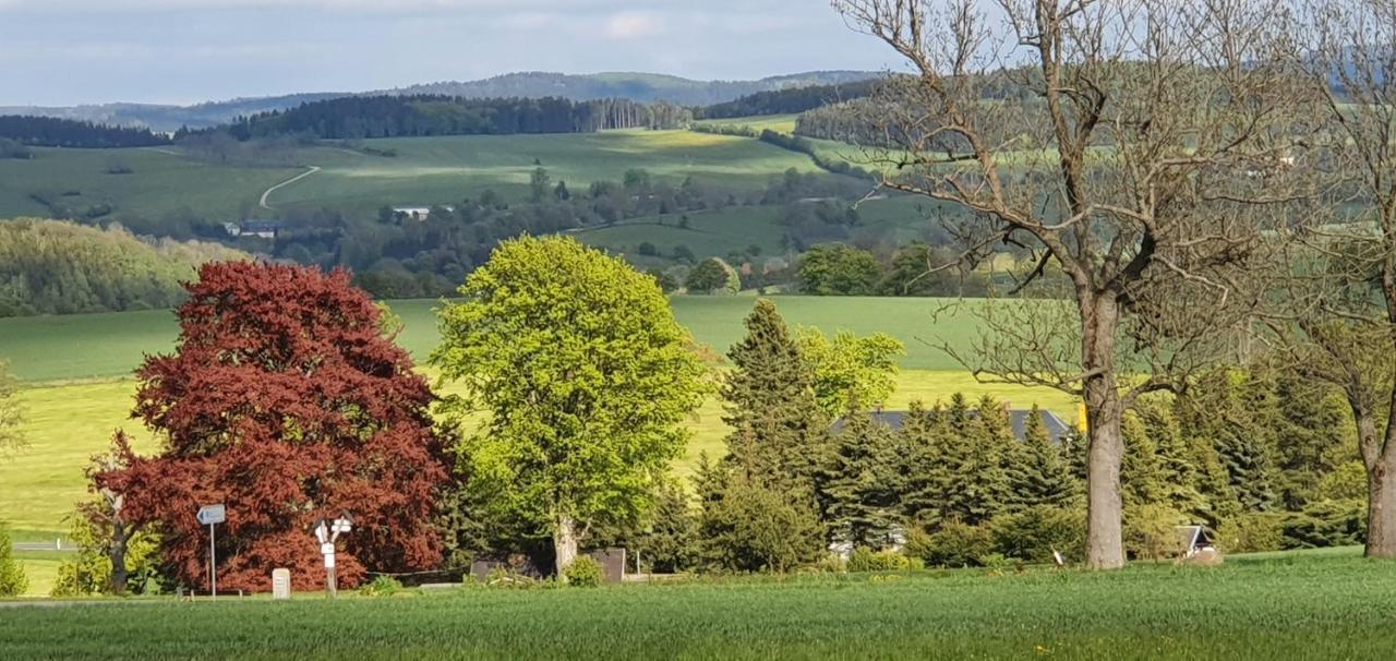 Zum Elleblick Apartment Frauenstein  Luaran gambar